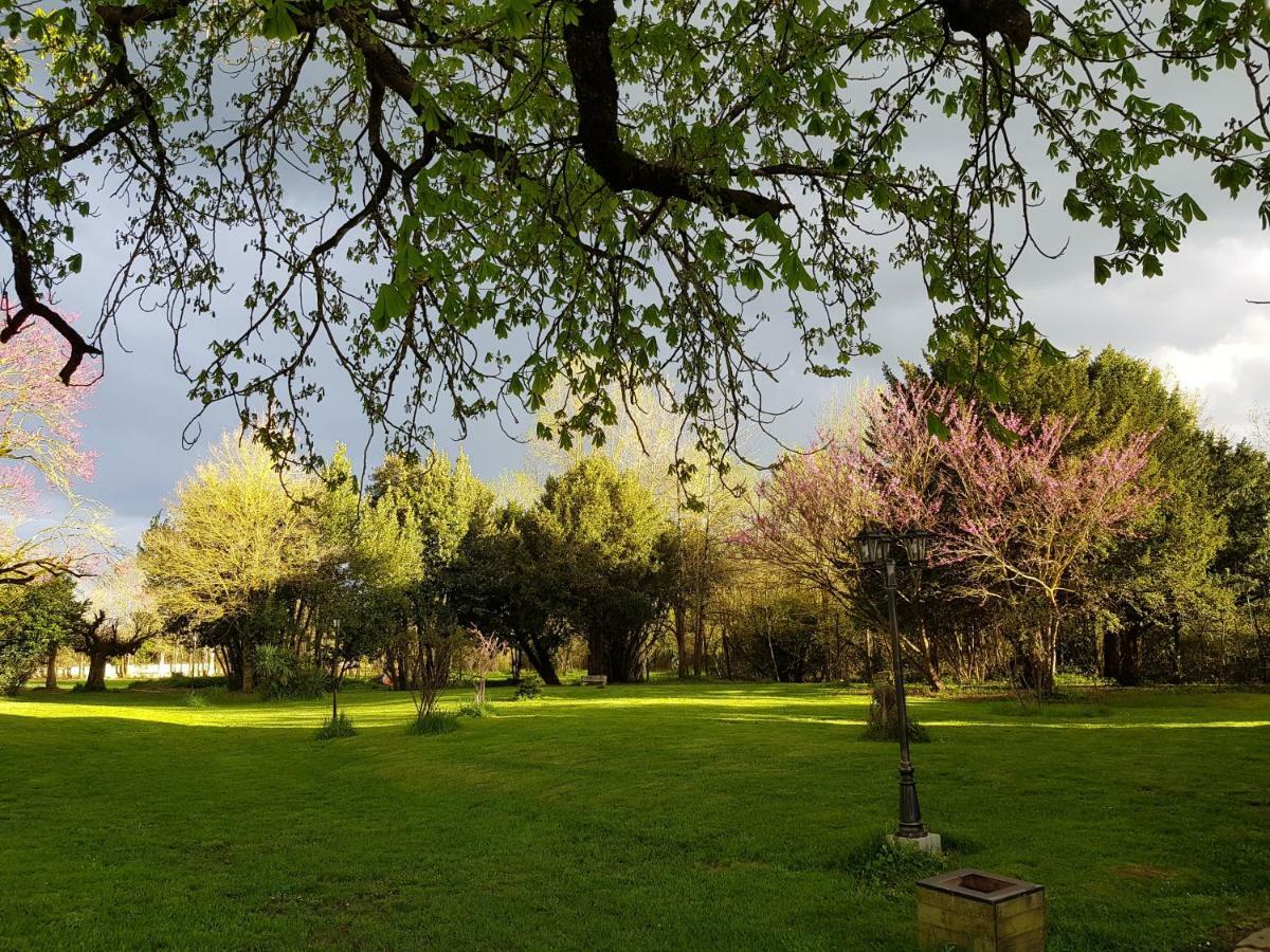 Chateau De Champblanc Cherves-de-Cognac Екстер'єр фото